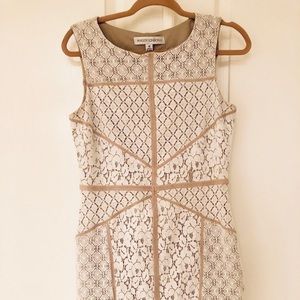 Maggy London Dress column lace dress in white